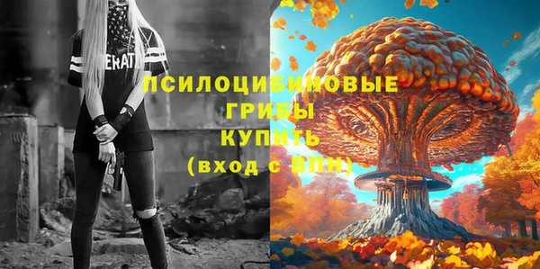 прущий лед Кулебаки