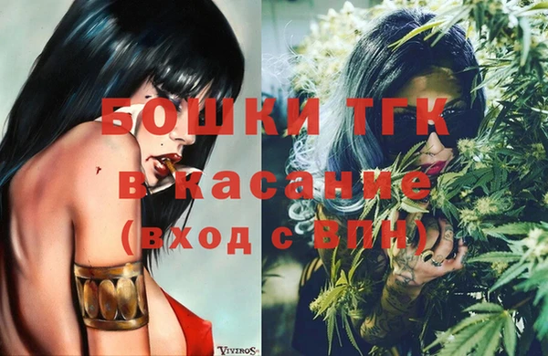 индика Кукмор