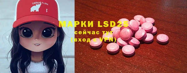 индика Кукмор