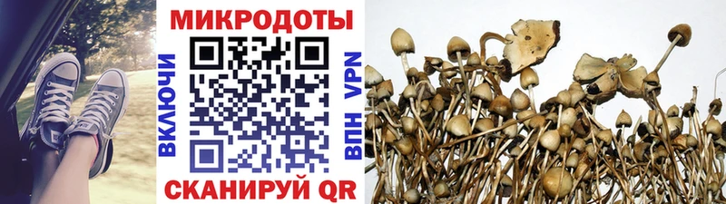 Галлюциногенные грибы прущие грибы  Мелеуз 